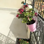 Perla Marina