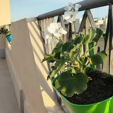 Perla Marina Apartment