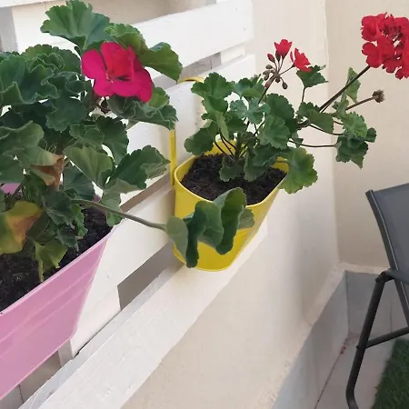 Perla Marina Apartment